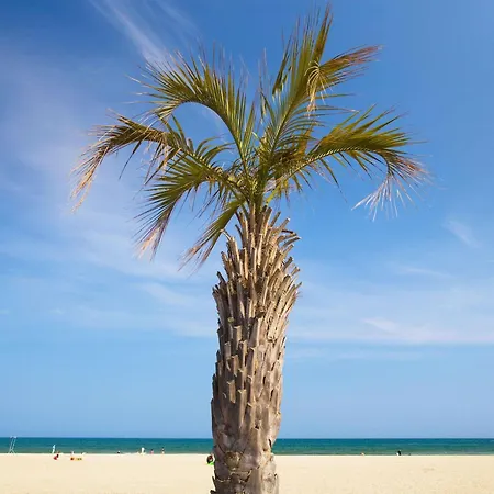 Hotel Hotelf1 Perpignan Sud Perpignan