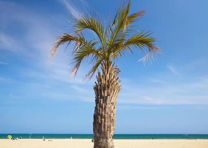 Hotel Hotelf1 Sud Perpignano